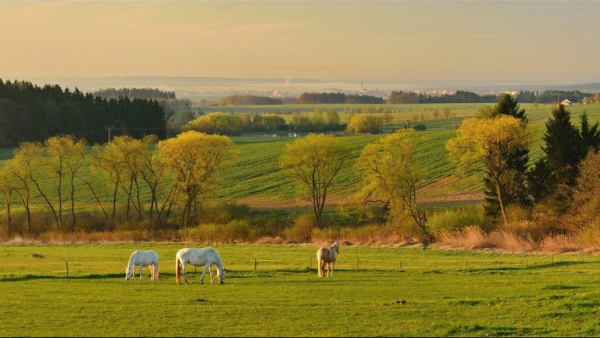 Turistická oblast Toulava